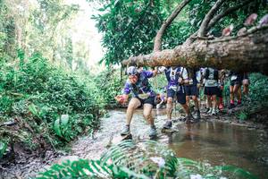 BIB: 
                            <button type="button" onclick="openModal(25475744)" class="btn btn-primary btn-sm float-right btn-popup" data-toggle="modal" data-target=".modal-high-quality">
                        <i class="fas fa-shopping-cart"></i> Add to Cart
                    </button>
                                            <button type="button" onclick="isThisMe(25475744, true)" class="btn btn-success btn-sm float-right btn-popup btn-isme hidden" data-toggle="tooltip" data-placement="bottom" title="นี่คือรูปของคุณใช่ไหม คลิกที่นี่เพื่อเอาเข้าอัลบั้ม">
                        <i class="fas fa-plus"></i> Add to album
                    </button>
                    <button type="button" onclick="isThisMe(25475744, false)" class="btn btn-warning btn-sm float-right btn-popup btn-isnotme hidden">
                        <i class="fas fa-ban"></i> Remove from album
                    </button>